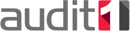 Audit1